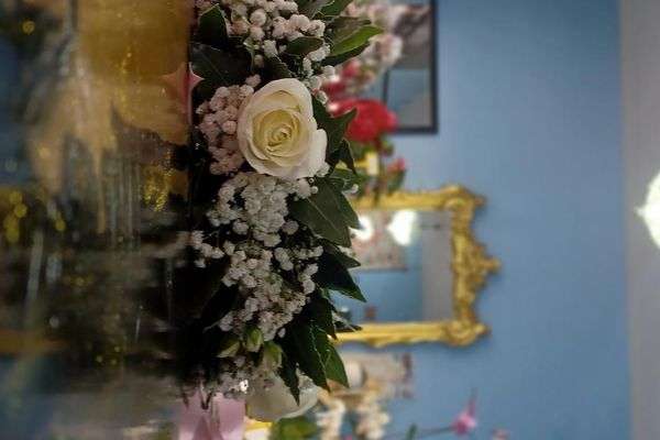 Azienda in vendita: Attività di piante fiori e articoli da regalo a Dorno - Fiorai e Garden Center - Immagine principale