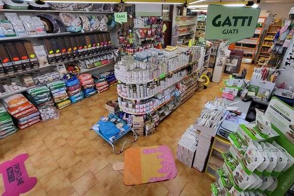 Azienda in vendita: Vendesi attività Pet shop  a Cividale del Friuli - Prodotti e servizi per animali - Immagine principale