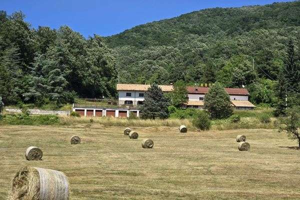 Azienda in vendita: affittasi/vendesi agriturismo hotel IN ABRUZZO a San Pietro Avellana - Agriturismi - Immagine principale