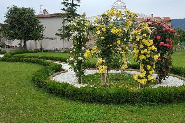 Azienda in vendita: VENDESI CLIENTELA DI ATIVITA GIARDINAGGIO  a Cascina - Attività artigianali e professionali - Immagine principale