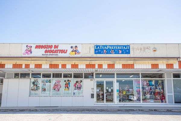 Azienda in vendita: Vendesi attività con sito web e social attivi – pronta per lavora a Corridonia - Giochi e Svago - Immagine principale