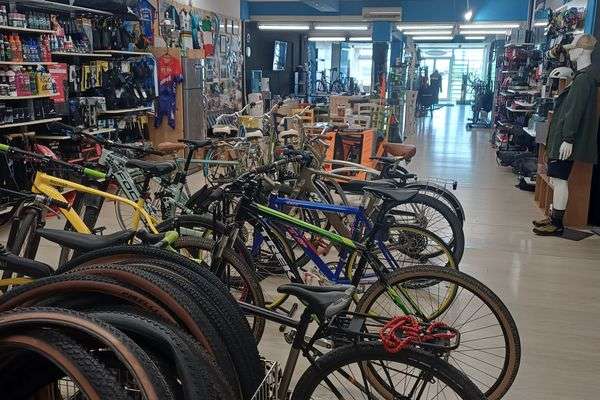 Azienda in vendita: Afftto negozio biciclette sportive, completo di arredo e officina a Boara Pisani - Cicli e Biciclette - Immagine principale