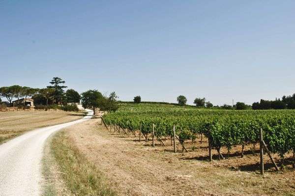 Azienda in vendita: Azienda Vitivinicola a Montepulciano, in Toscana a Montepulciano - Aziende vitivinicole - Immagine principale