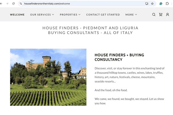 Azienda in vendita: Successful online business for sale a Asti - Altro - Immagine principale