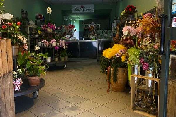 Azienda in vendita: Fioraio avviato a Collegno, ottima posizione e clientela 🌿 a Collegno - Fiorai e Garden Center - Immagine principale
