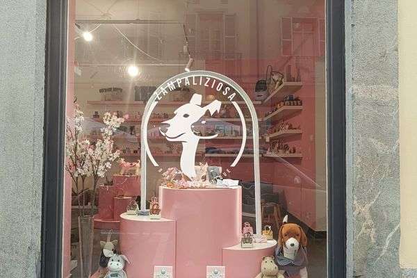 Azienda in vendita: Cedesi avviata attività di Pet Bakery e Boutique – Provincia di T a Torino - Prodotti e servizi per animali - Immagine principale