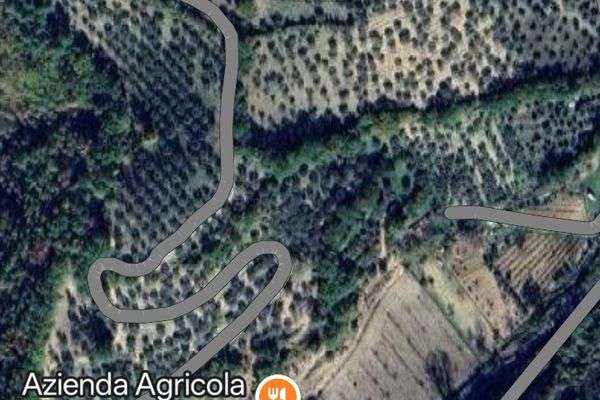 Azienda in vendita: Azienda con13Ha di terreno con 1200 piante di ulivo 4 abitazione  a Rieti - Agriturismi - Immagine principale