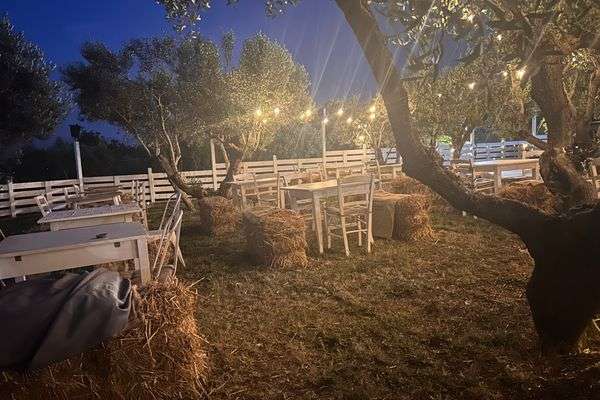 Azienda in vendita: Attività di 800mq
Bar, ristorante , braceria e pizzeria 
 a Monte Porzio Catone - Ristoranti - Immagine principale