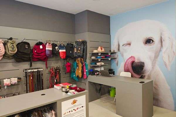 Azienda in vendita: Pet's Shop Alimentazione e Accessori di fascia medio alta a Rimini - Prodotti e servizi per animali - Immagine principale