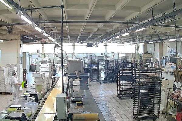 Azienda in vendita: Vendesi laboratorio produzione pasticceria a Vigevano - Pasticcerie - Immagine principale