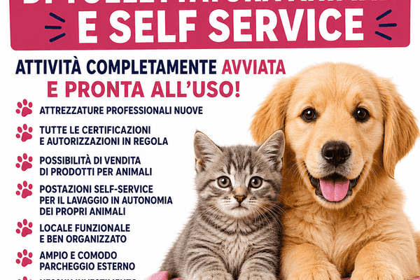 Azienda in vendita: Toelettatura Animali e 2 postazioni Self Service a Ferrara - Prodotti e servizi per animali - Immagine principale