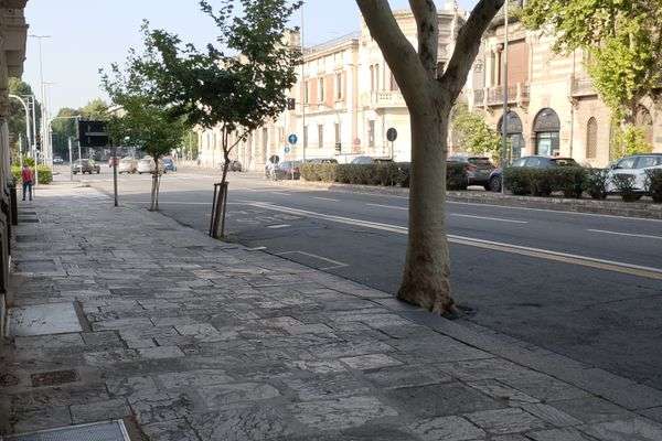 Azienda in vendita: Attività di panificio  a Messina - Panetterie - Immagine principale