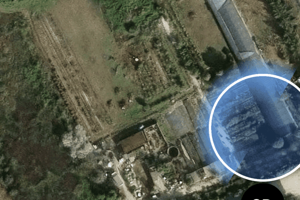 Azienda in vendita: Vendo attività di Garden vivaio manutenzione giardini  a Civitanova Marche - Fiorai e Garden Center - Immagine principale