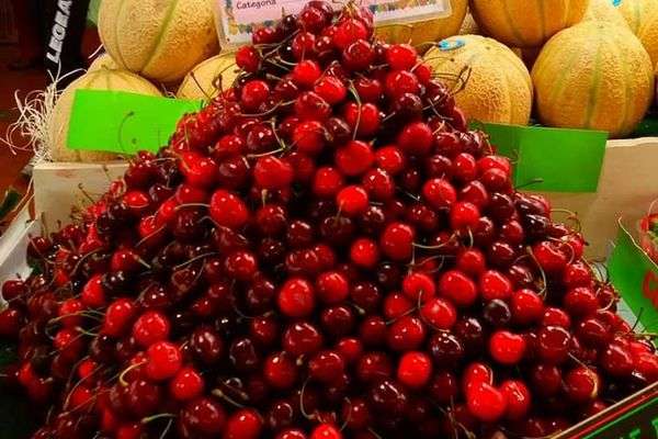Azienda in vendita: Vendita attività commerciali di Ortofrutta con tutta la struttura a Genova - Negozi - alimentari e ortofrutta - Immagine principale