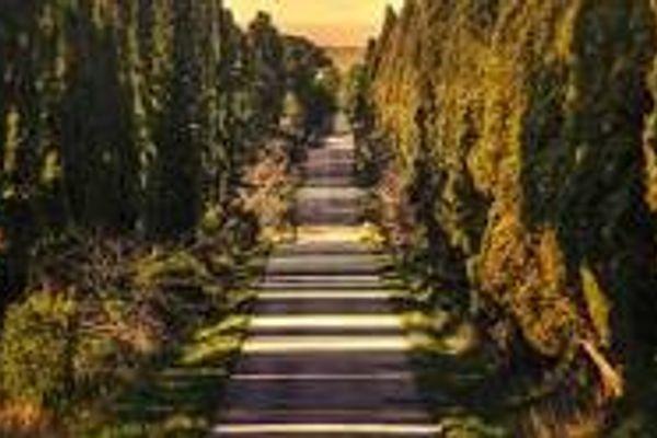 Azienda in vendita: Azienda Noleggio Con Conducente a Rosignano Marittimo - Attività artigianali e professionali - Immagine principale