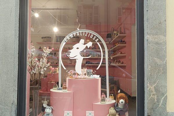 Azienda in vendita: Cedesi avviata attività di Pet Bakery e Boutique – Provincia di T a Torino - Prodotti e servizi per animali - Immagine principale