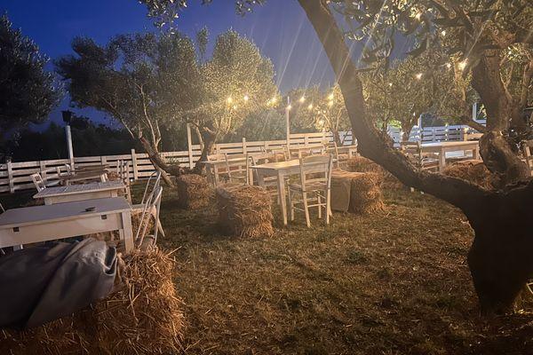 Azienda in vendita: Attività di 800mq
Bar, ristorante , braceria e pizzeria 
 a Monte Porzio Catone - Ristoranti - Immagine principale