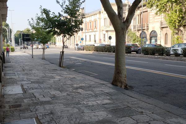 Azienda in vendita: Attività di panificio  a Messina - Panetterie - Immagine principale