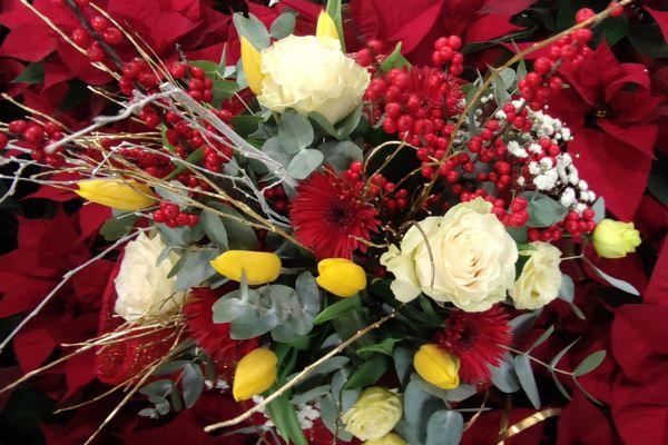 Azienda in vendita: Negozio storico di fiori e piante a Suzzara - Fiorai e Garden Center - Immagine principale