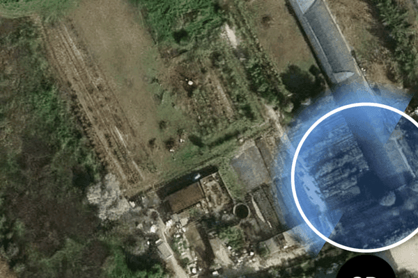 Azienda in vendita: Vendo attività di Garden vivaio manutenzione giardini  a Civitanova Marche - Fiorai e Garden Center - Immagine principale